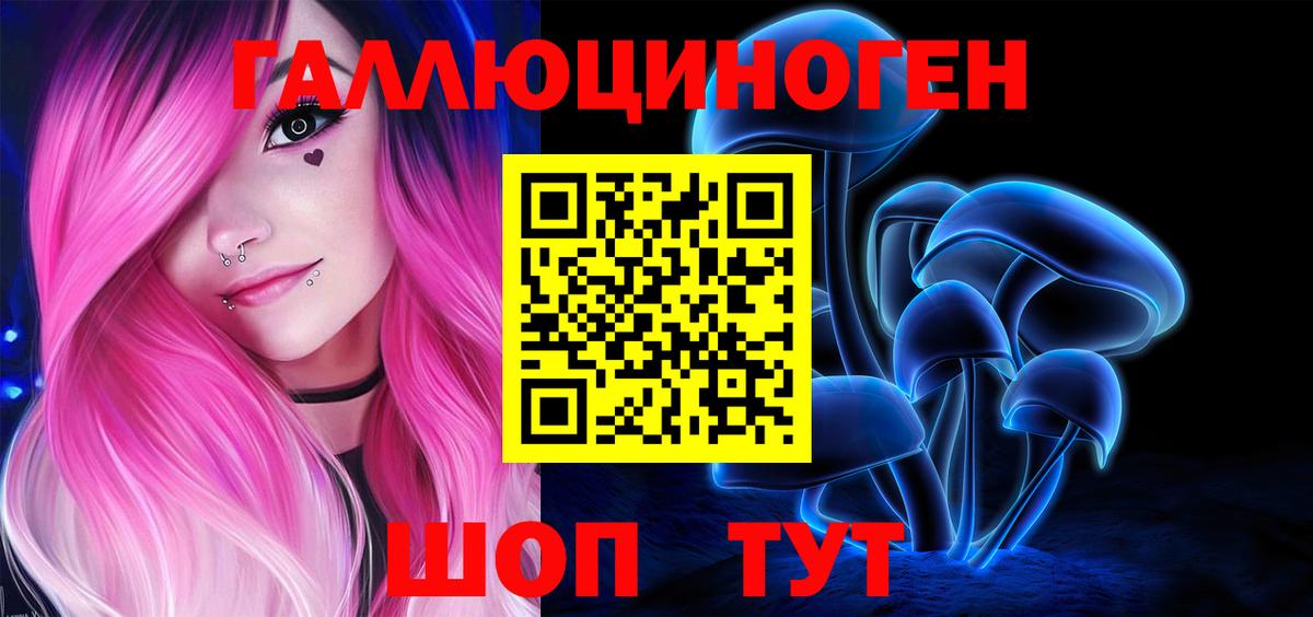 Псилоцибиновые грибы Psilocybe Ступино