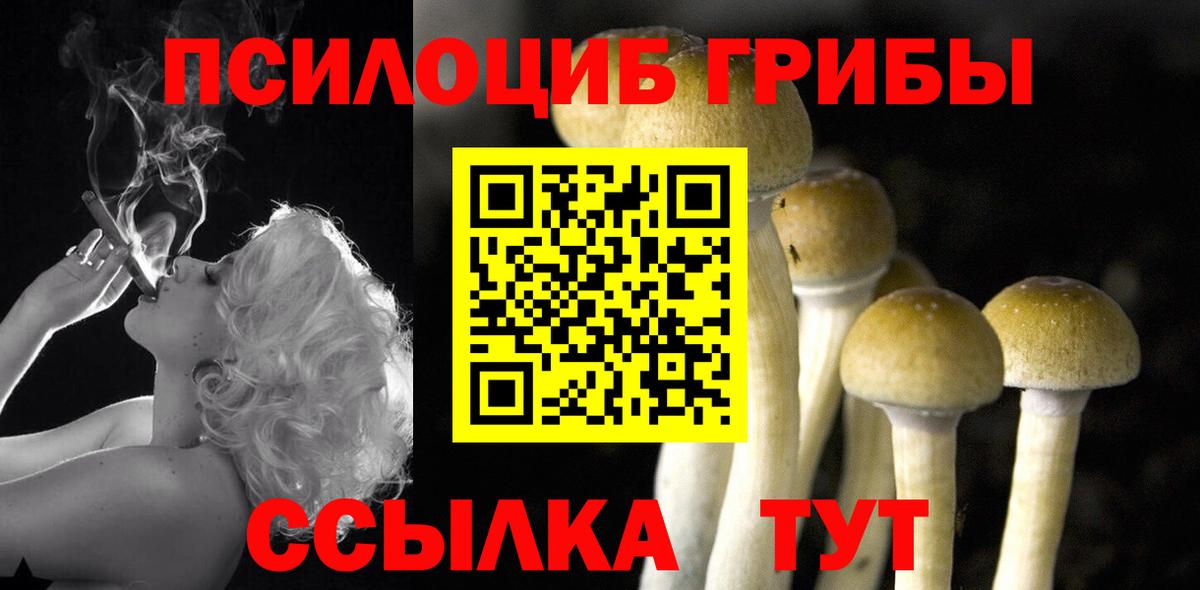 Ступино  Галлюциногенные грибы Cubensis  Вход с VPN 